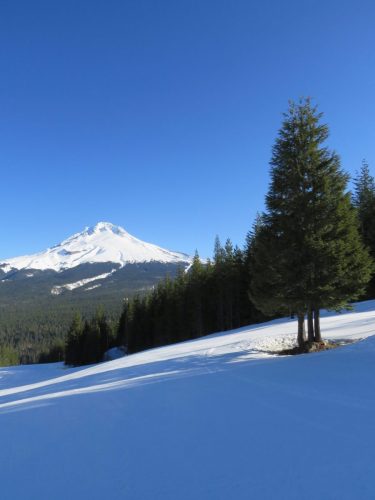 Mt Hood